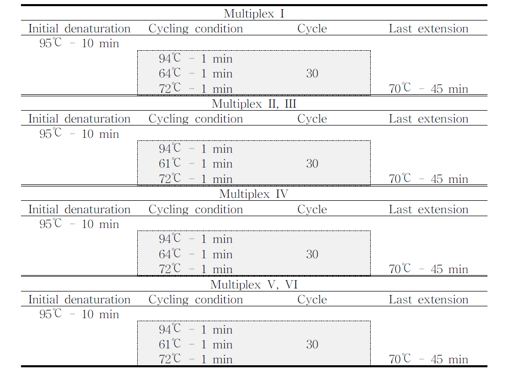 PCR amplification condition