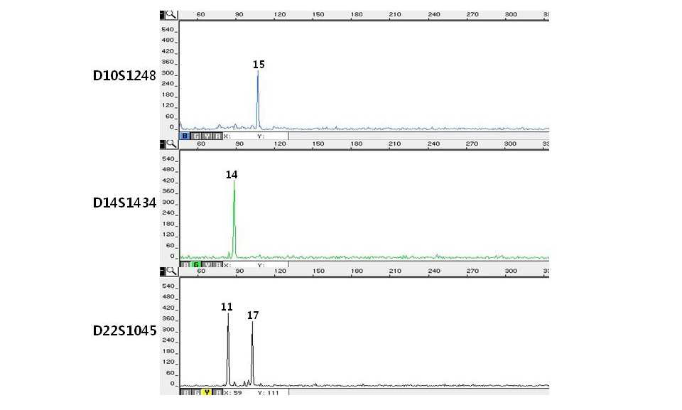 Electropherograms of miniSTR multiplex system II