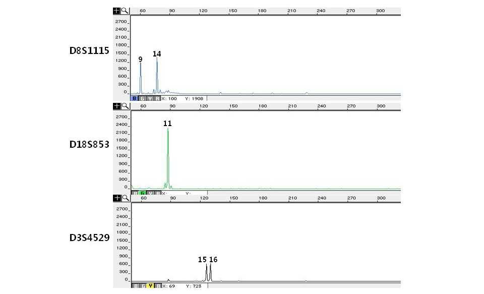 Electropherograms of miniSTR multiplex system IV