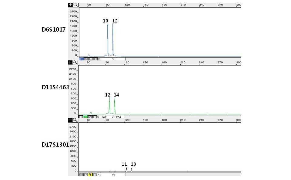 Electropherograms of miniSTR multiplex system V