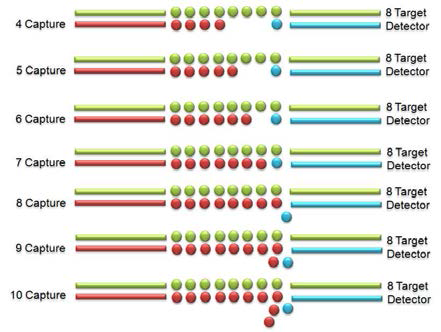 다양한 길이의 STR을 가진 capture oligonucleotide 디자인