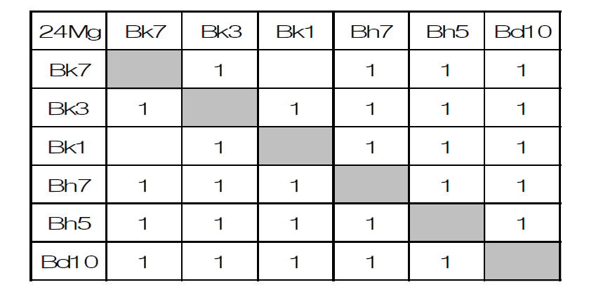 Pairwise comparison of 8 paint samples by 24Mg. '1' represents 'distinguishable' and blank 'indistinguishable'