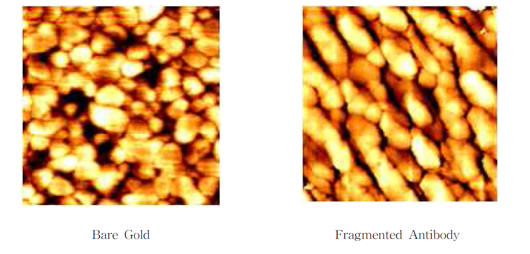 STM을 이용한 박막 표면 이미지 분석