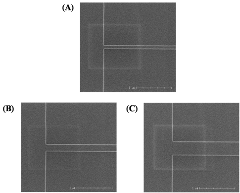 나노와이어 패턴이 형성된 마스터몰드의 SEM 사진 (A)100 nm, (B)200 nm, (C) 400 nm