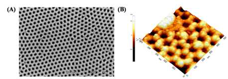 AAO mask의 표면 분석 결과 (A) SEM image, (B) STM image