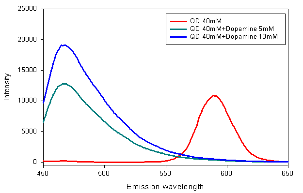 PBS buffer에서 quantum dots과 dopamine을 시킨 후의 측정 파장 스펙트럼, λex=428nm