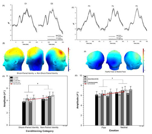 공포 조건화를 통해 학습된 얼굴자극에 대한 정서 ERP 반응