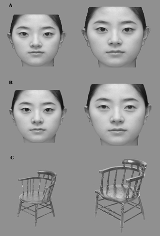 과제에 사용된 그림 쌍의 예 a) 틀적인 정보가 다른 두 얼굴 b) 요소적 정보가 다른 두 얼굴 c) 요소적 정보가 다른 두 의자