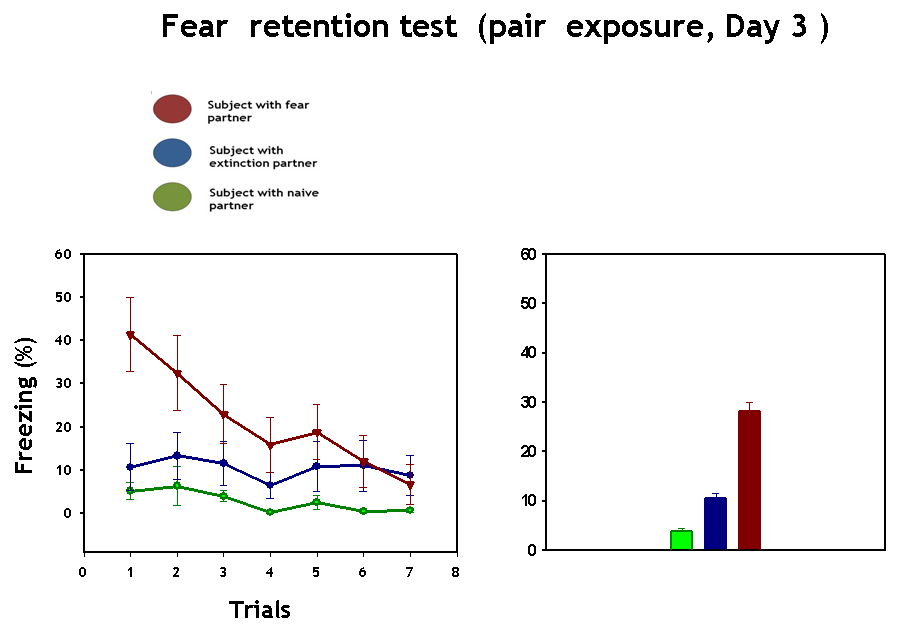 공포를 획득한 파트너와 같이 있는 쥐들을 같이 테스트 했을 경우 더 유의미하게 높은 공포 반응을 보임