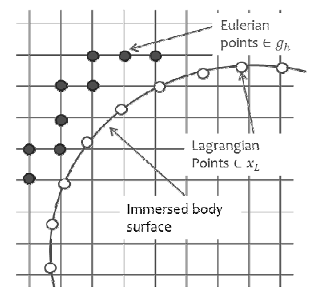 Eulerian and Lagrangian points in the present immersed boundary method