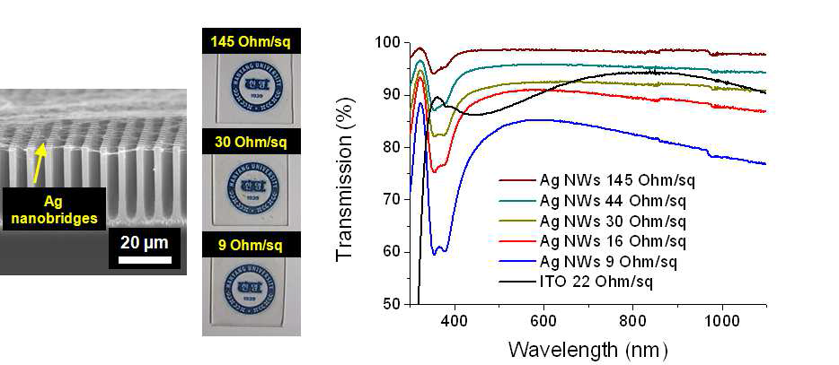 실리콘 마이크로와이어 어레이 상부에 위치한 Ag nanobridge의 SEM image와 Ag nanobridge의 밀도에 따른 투과도