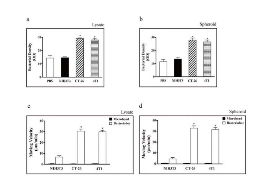 Microfluidic chamber안에서 세포별 박테리아 이용능력 측정