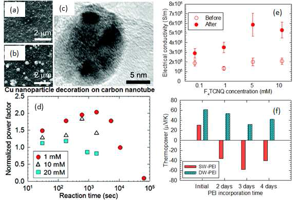 Nanotube films after reactions in CuSO4 solutions of the following concentrations for various time periods