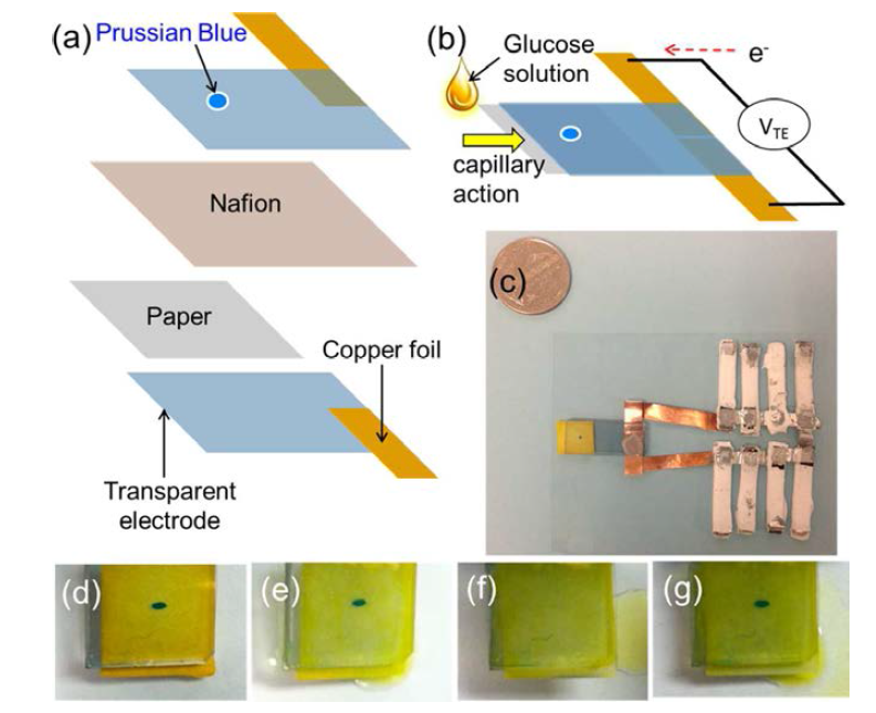 (a) Exploded view schematic of a glucose sensor with Prussian blue display. (b) Operation schematic of the glucose sensor with a thermoelectric device. (c) Prototype of glucose detection sensor integrated with a thermoelectric device. PB display of glucose sensor before (d) and after (e) injection of 50 μL of solution containing 0.2 mM glucose without supplying power. When power (150 mV) was supplied by the thermoelectric device, the PB disappeared after 180 s due to the change into PW (f). The PW changed back to blue after stop supplying power (g).