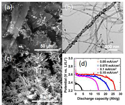 (a) SEM image of aligned CNT anchored with Fe2O3 micro-/nanoparticles (Fe2O3ーCNT)　on stainless steel mesh (b) TEM image of Fe2O3 nanoparticle decorated CNT. (c) SEM image of Li oxides after discharge. (d) Discharge capacity of Fe2O3ー CNT electrodes according to the current density