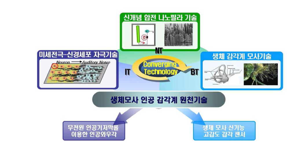 생체 청각기구 모사 인공감각계의 융합 원천기술