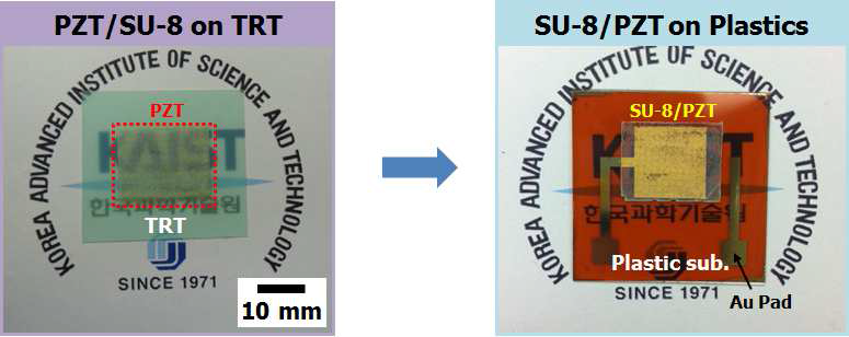 압전박막의 플라스틱 기판위로의 전사