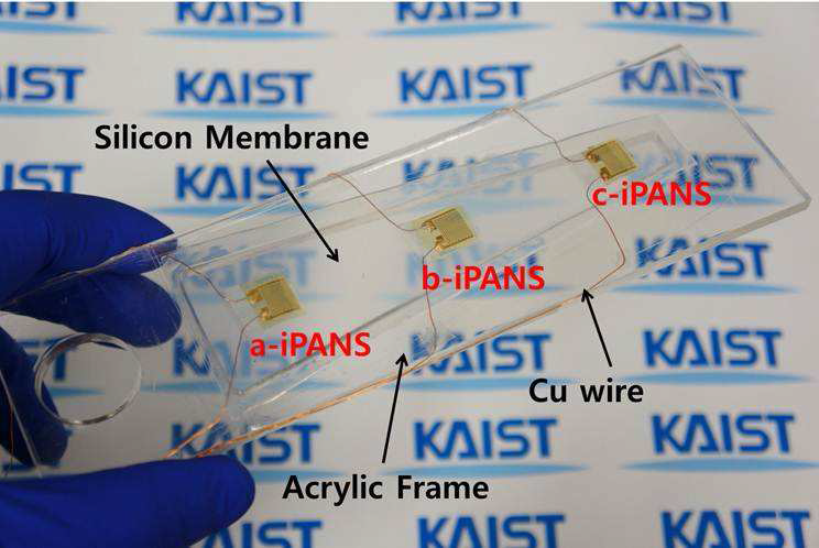 실리콘 멤브레인(SM) 위에 3개의 iPANS를 구리 선에 연결한 주파수 분리기