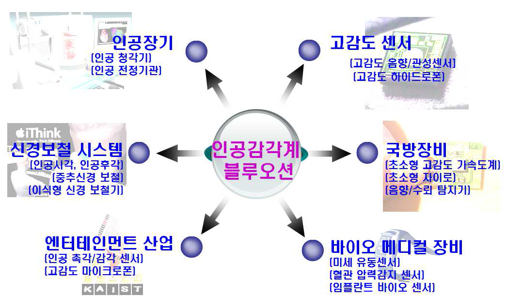 생체모사 인공감각계 기술 응용분야