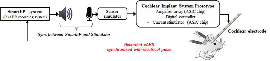 1차 시스템 프로토타입을 이용한 eABR 측정을 위한 실험 셋업