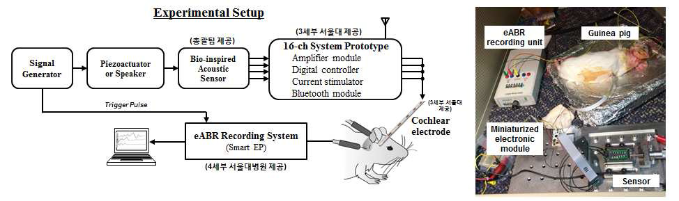 3차 시스템 프로토타입을 이용한 동물실험 블록다이어그램 및 구성도