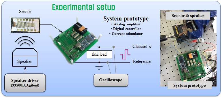 인공기저막 센서와 연결된 1차 시스템 프로토타입의 성능 검증을 위한 실험 셋업