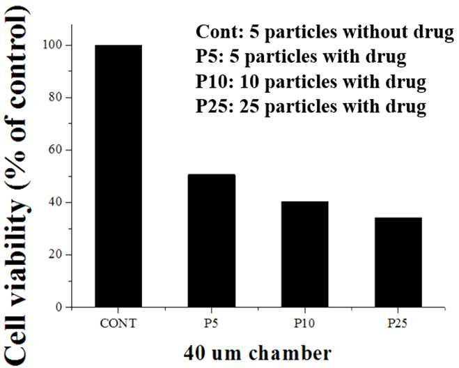 40 um 크기의 약물탑재시스템의 개수별 cell viability 측정 실험 결과