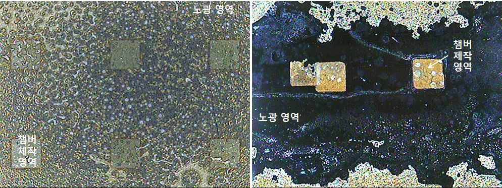 PCL 폴리머의 x-ray synchrotron 노광 및 develop 후의 광학현미경 사진