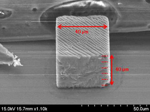 40 um 크기의 적층 구조의 큐빅 마이크로 구조체 제작 결과