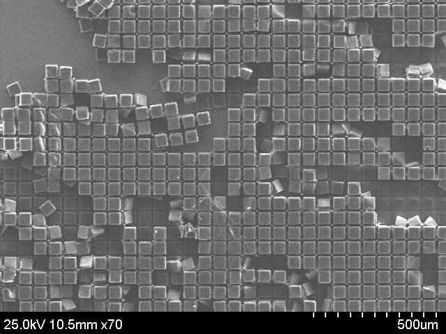 40 um 크기의 적층 구조의 큐빅 마이크로 구조체 대량 생산 결과