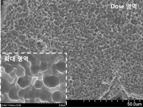 5um 두께의 골드 마스크로 노광 실험을 진행한 PCL 폴리머 표면 SEM 사진