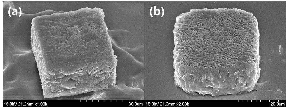 노광 에너지에 따른 표면 porosity가 조절된 마이크로 구조체 SEM 사진