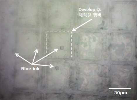 x-ray synchrotron 노광을 통해 PCL 폴리머 필름 패터닝 결과