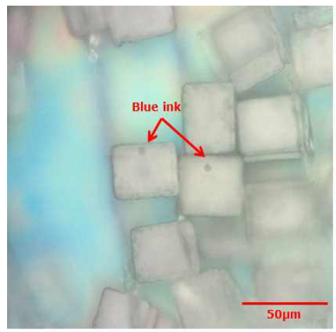 blue ink가 장전된 생분해성 고분자 마이크로 구조체 제작 결과