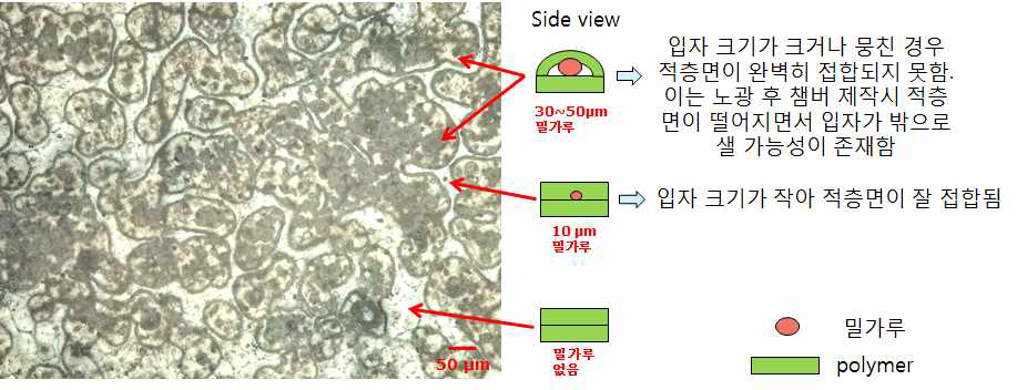 약물대체물질로 밀가루가 장전되어 있는 적층된 PCL 폴리머 필름 사진