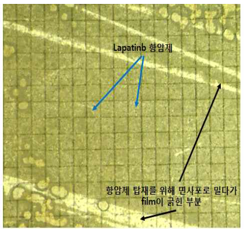 4층의 PCL 폴리머 필름에 항암제(Lapatinib)가 장전 x-ray synchrotron 노광 결과