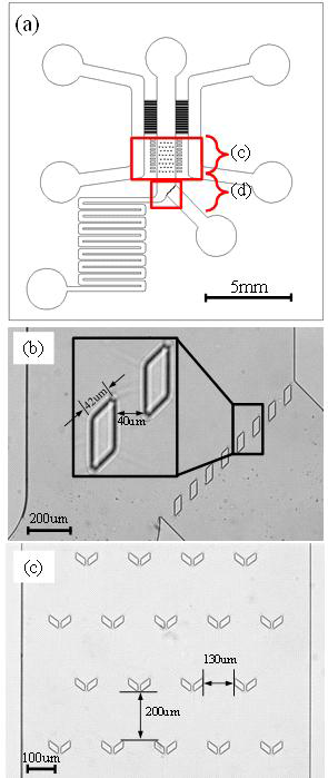 (a) Microfluidic platform의 전체 디자인과 주요 부분, (b) 방어벽, (c) trapper 배열