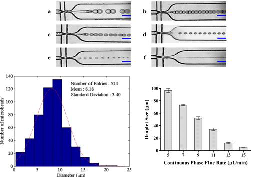 Microfluidic channel을 이용한 mono-sized PEG/Alginate Microbead 제작