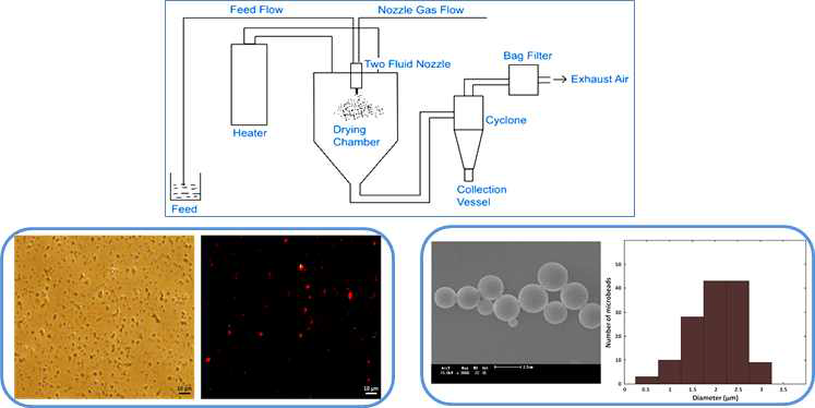 Spray dryer를 이용한 mono-sized PEG Microbead 제작