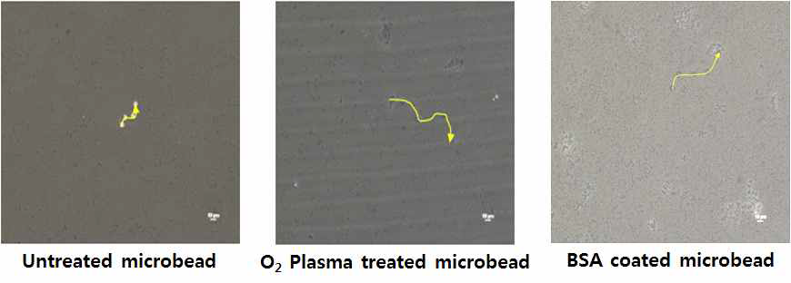 O2 plasma와 BSA에 의한 살모넬라 부착 microbead의 속력 및 이동성 향상