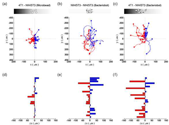 Evaluation of the tumor-targeting properties of bacteriobots