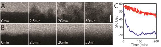 Mixing phenomenon at the interface of two flow streams.