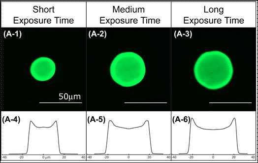 Experimental results of active hydrogel photopolymerization using the developed platform.