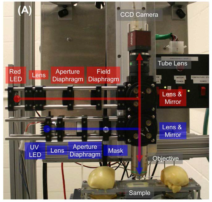 Developed hydrogel photopolymerization platform.