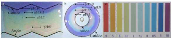 Rapid gradient generation using controlling of pH