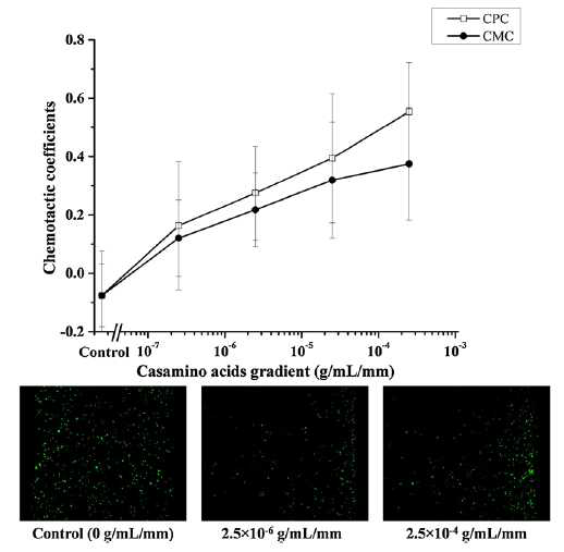 Chemotaxis assay using PEG-DA microfluidic channels