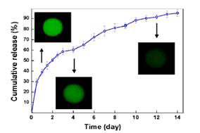 Insulin delivery using chitosan-coated alginate microspheres.