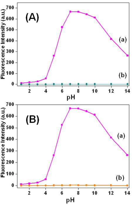 EB-PMO 화학센서에 대한 pH 값의 변화에 따른 형광강도의 변화를 나타내는 그래프. ((A): ⒜ 수은 이온 부재 시, ⒝ 수은 이온 존재 시 / (B): ⒜ 철 이온 부재 시, ⒝철 이온 존재 시)