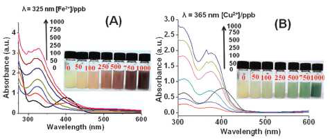 UV-vis absorption spectra of SAPy-MMS with different concentrations of (A) Fe2+ ions at pH 8 and (B) Cu2+ ions at pH 12.