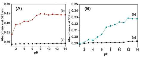 Effect of pH on absorbance at 325 nm for (A) Fe2+ and 365 nm for (B) Cu2+, respectively, in UV-vis spectra of (a) free SAPy-MMS and (b) SAPy-MMS- Fe2+ and SAPy-MMS-Cu2+, respectively (6.25X10-6 M).